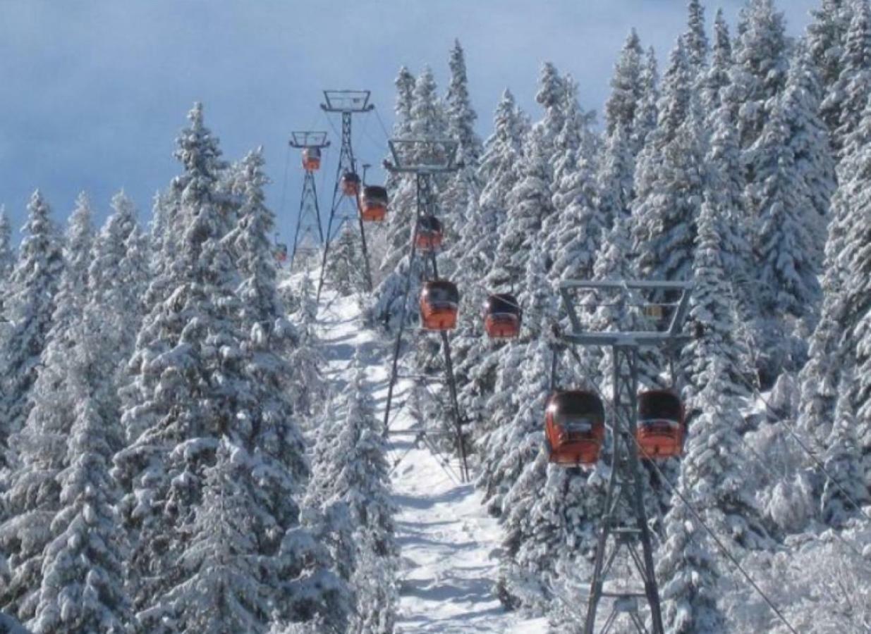 Borovets Gardens Studio D36 エクステリア 写真